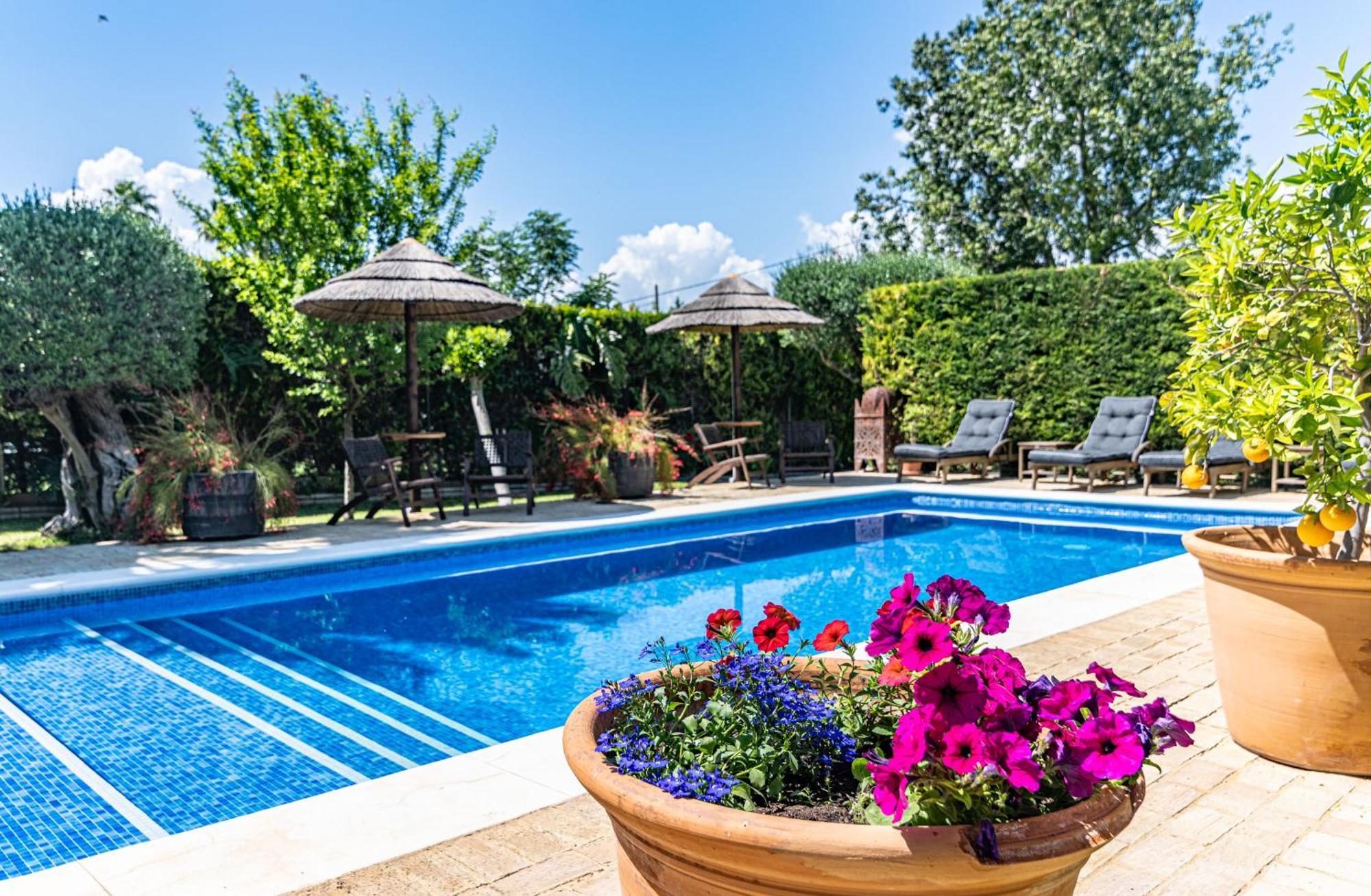 B&B Casa Adelante Sevilla Эспартинас Экстерьер фото